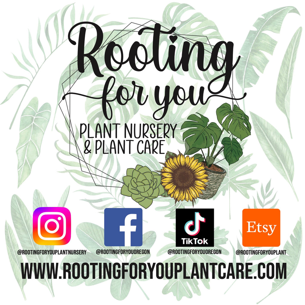 Plant Care Gift Set – 5 Essential Care Items for Plant Lovers – Perfect for Houseplants, Gardeners, & Green Thumbs