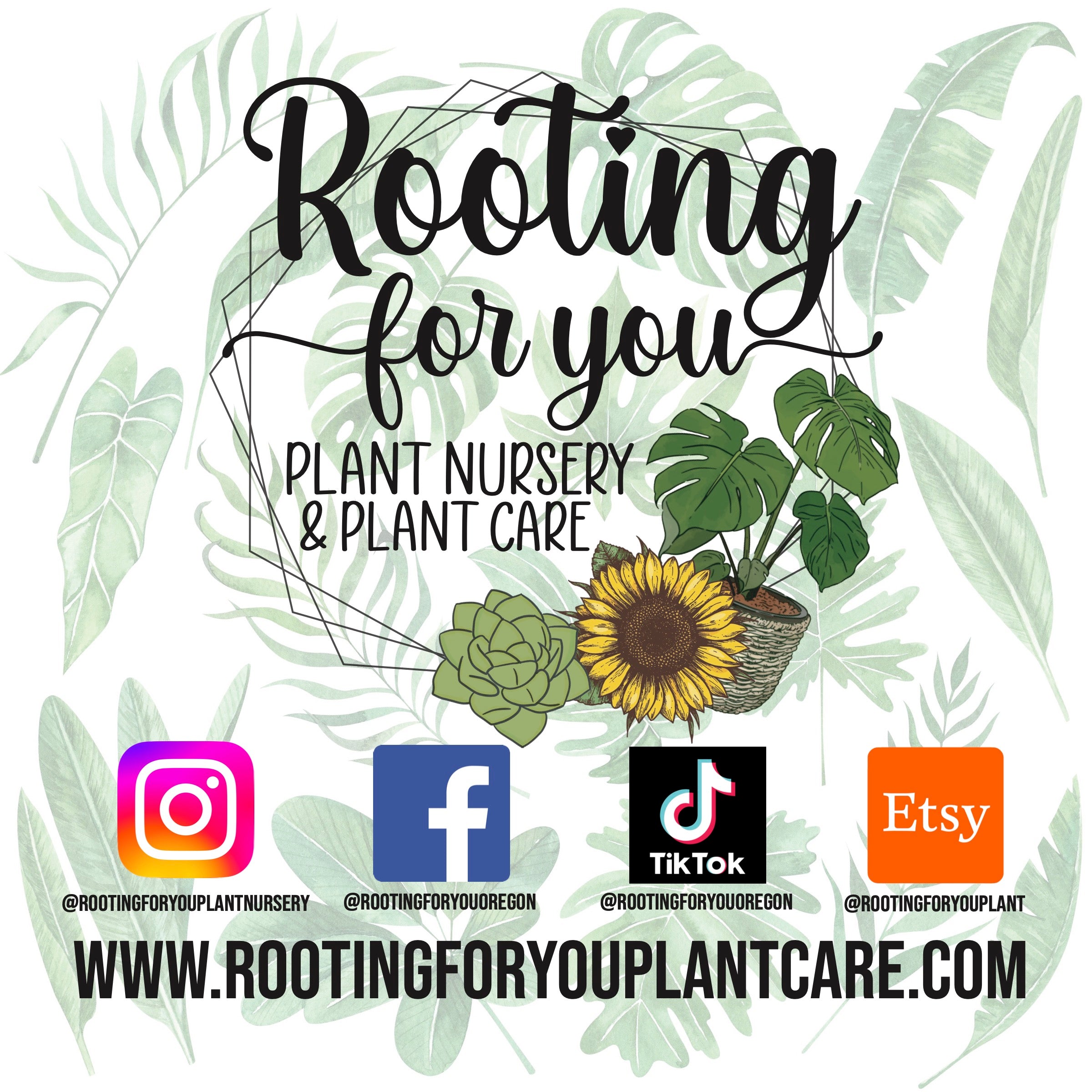 Plant Care Gift Set – 5 Essential Care Items for Plant Lovers – Perfect for Houseplants, Gardeners, & Green Thumbs