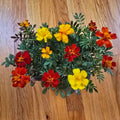 Grab & Grow Pre-Seeded Starter Kit